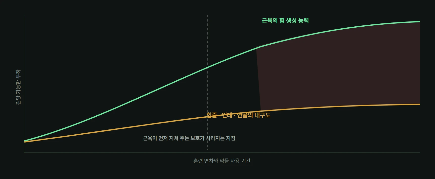 근육의 힘 생성 능력과 결합조직 내구도가 훈련 연차에 따라 벌어지는 그래프