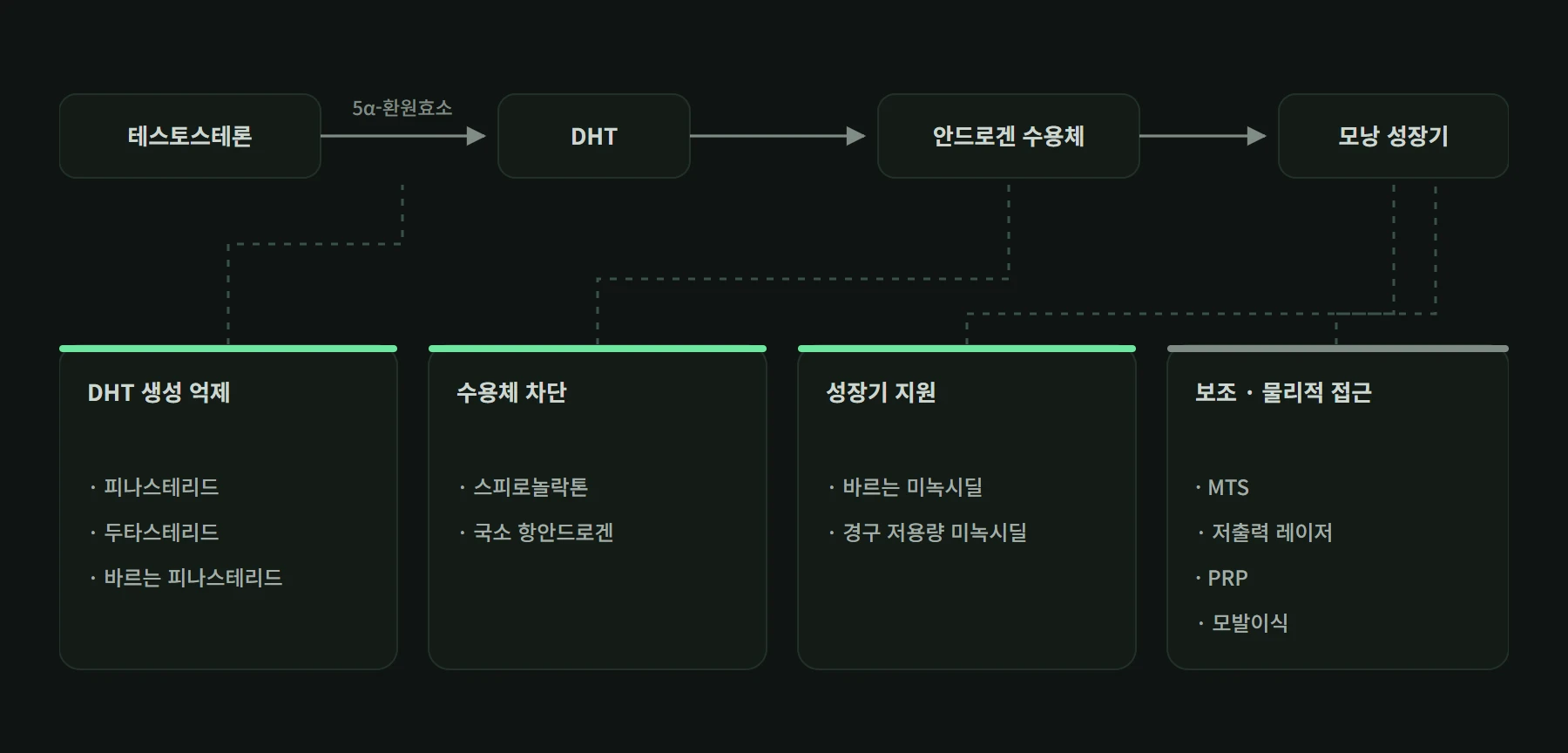 DHT 생성 억제, 수용체 차단, 성장기 지원, 보조 수단으로 나눈 치료 분류와 각각의 작용 지점