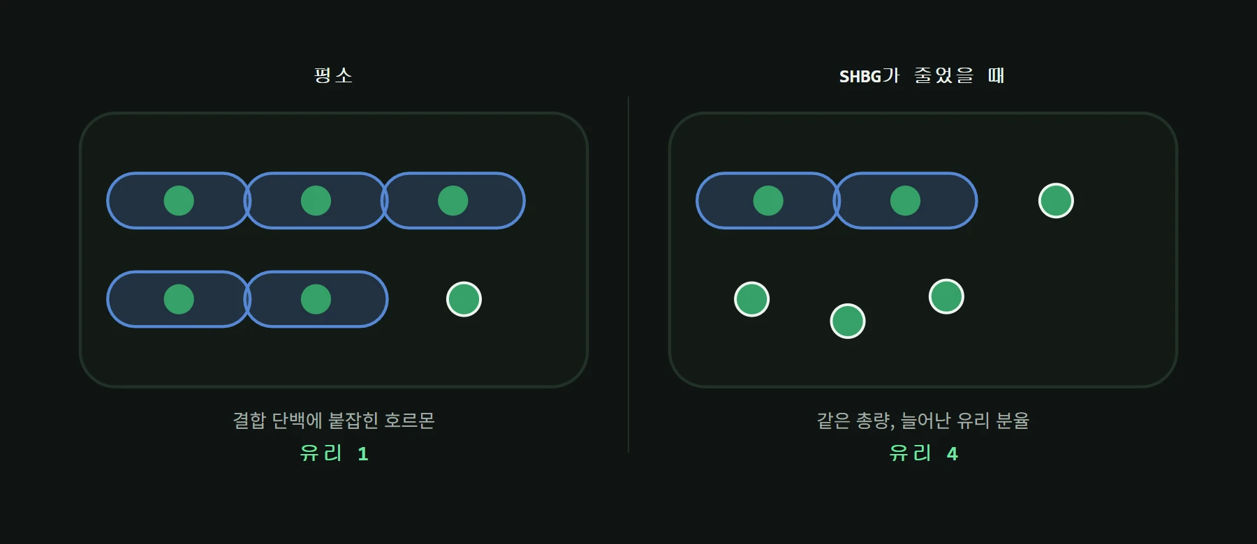 성호르몬결합글로불린이 테스토스테론을 붙잡고 있는 상태와, 스타노졸롤이 그 양을 줄여 유리 호르몬 비율이 오르는 상태 비교