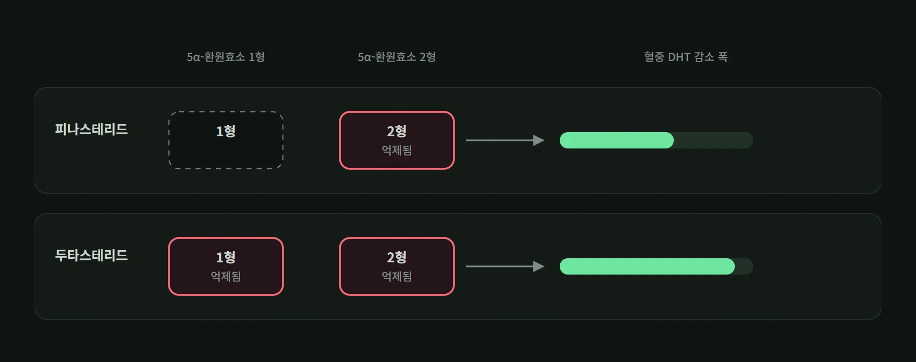 피나스테리드가 막는 효소 범위와 두타스테리드가 막는 범위, 그에 따른 혈중 DHT 감소 폭 비교