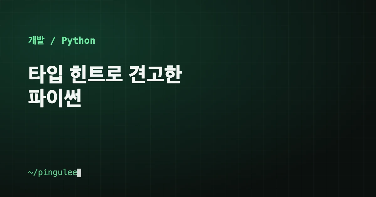 타입 힌트로 견고한 파이썬 대표 이미지